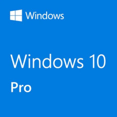 Microsoft Window 10 Professional