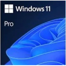 Microsoft Window 11 Professional